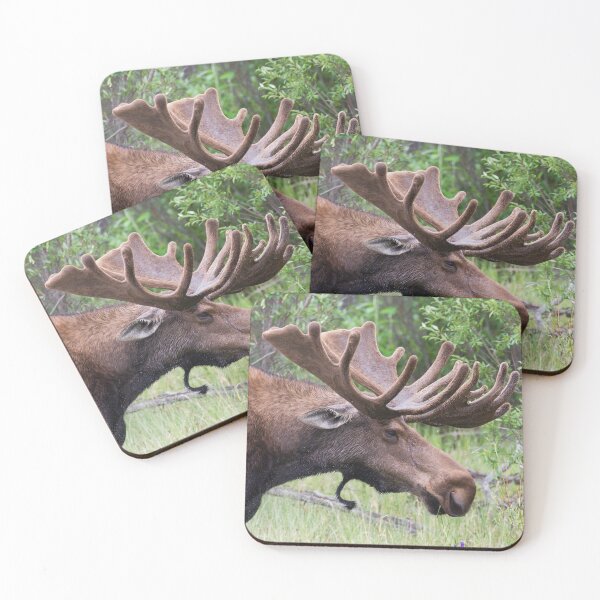Item preview, bull Moose designed and sold by Jukka Jantunen.