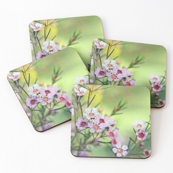 Item preview, Geraldton Wax Pink Waxflower designed and sold by Cloudlingpics.