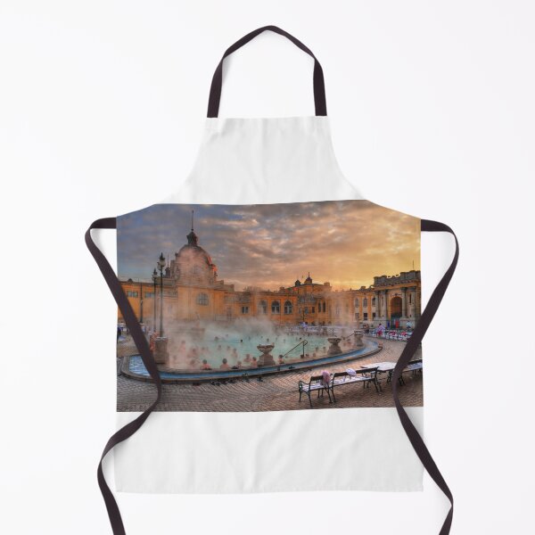 Item preview, Széchenyi Medicinal Baths designed and sold by zumi.