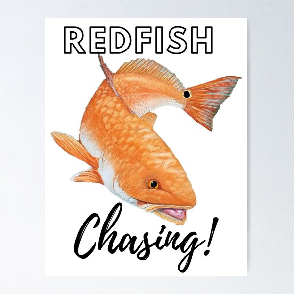 Chasing Fish Posters for Sale