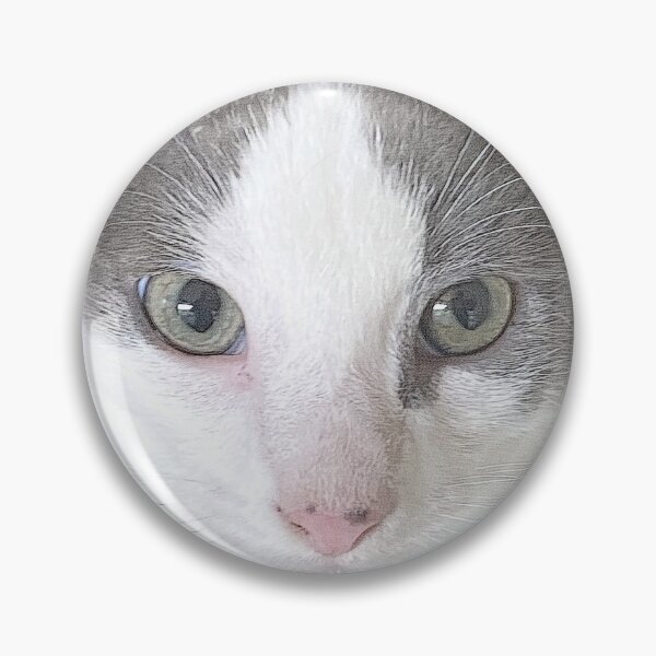 Artikelvorschau,  GRAU UND WEISSES KITTEN SOOTY BLUEY entworfen und verkauft von Opalbluerose.