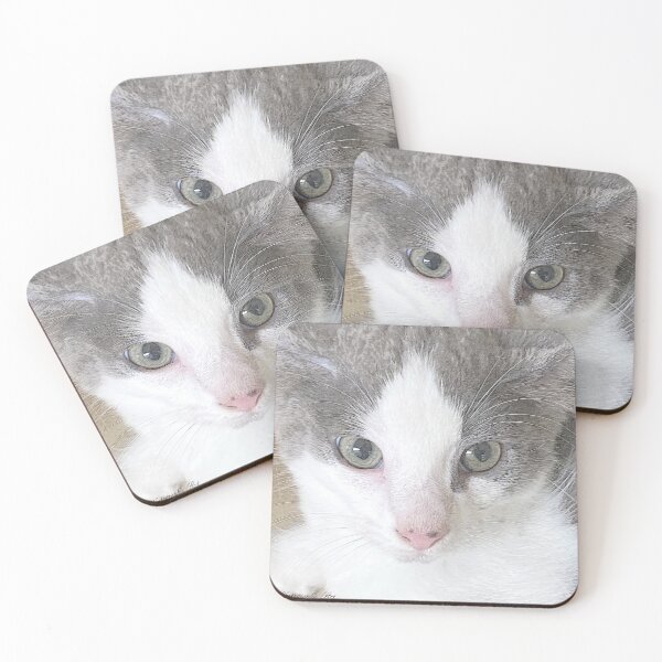 Item preview,  GREY AND WHITE KITTEN SOOTY  BLUEY  designed and sold by Opalbluerose.