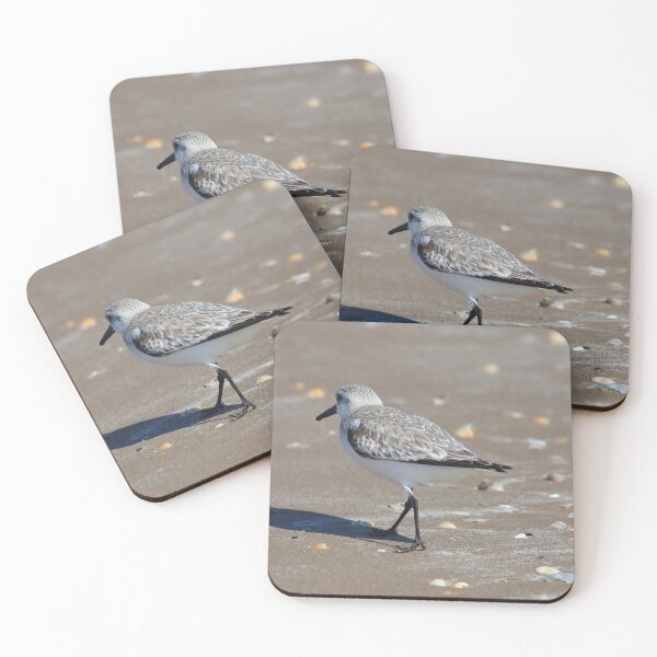 Item preview, Sandpiper designed and sold by zumi.