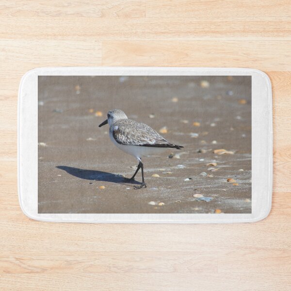 Item preview, Sandpiper designed and sold by zumi.