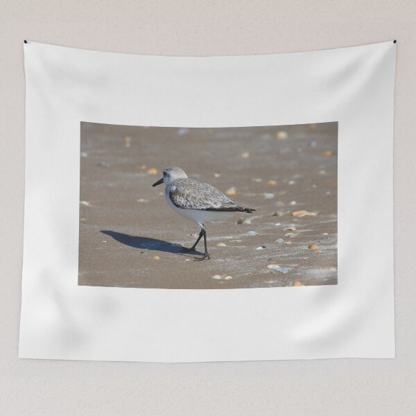 Item preview, Sandpiper designed and sold by zumi.