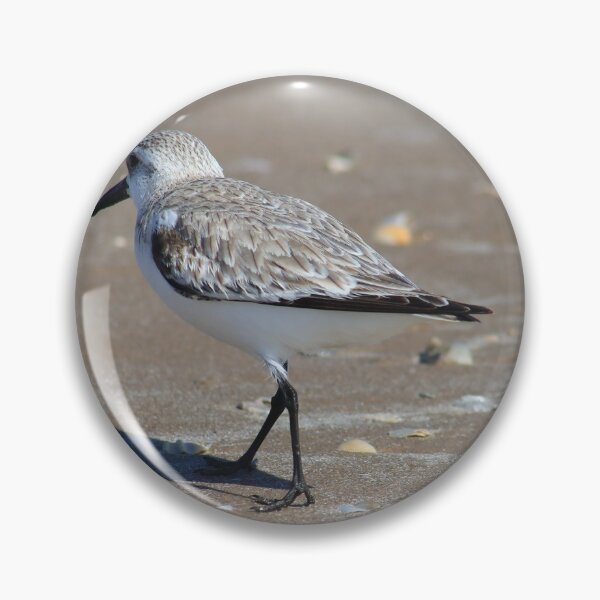 Item preview, Sandpiper designed and sold by zumi.