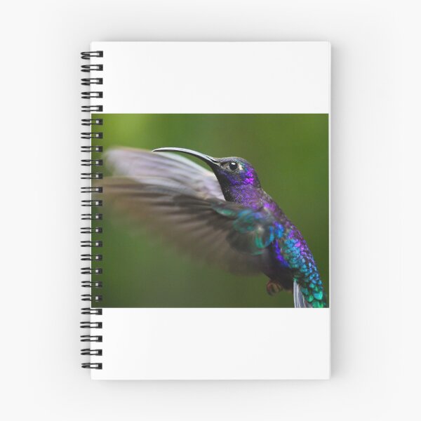 Item preview, Humming bird designed and sold by Ajo Fernández.