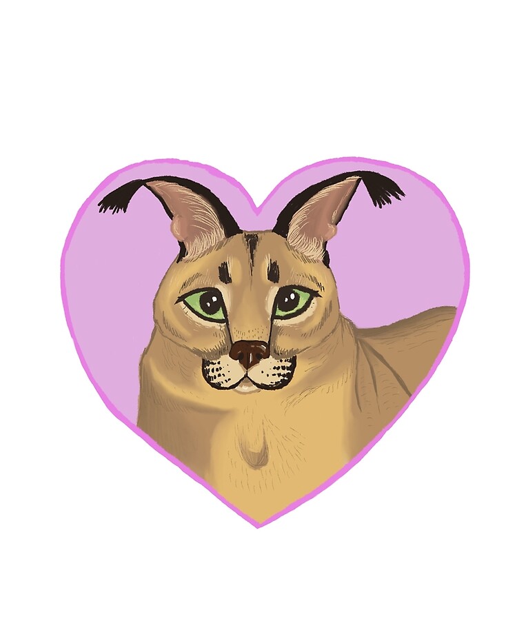 FLOPPA CAT \ CARACALS / GOOD AT MATH | iPad Case & Skin