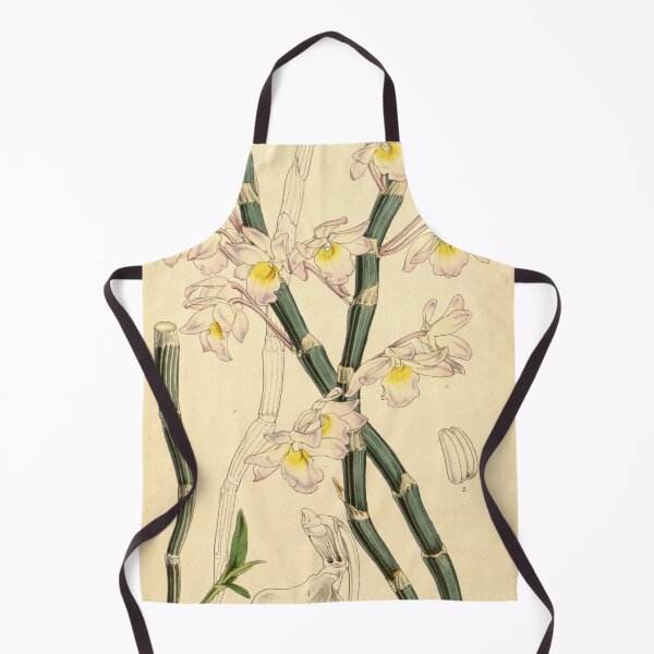Item preview, Dendrobium crepidatum designed and sold by EsotericBotanic.