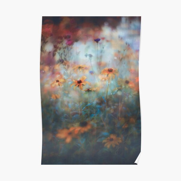 secret garden Poster