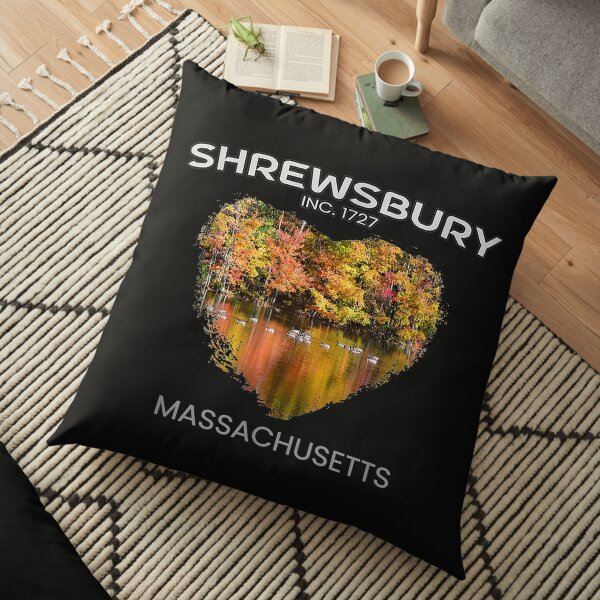 SHREWSBURY Massachusetts Heart-shaped Floor Pillow