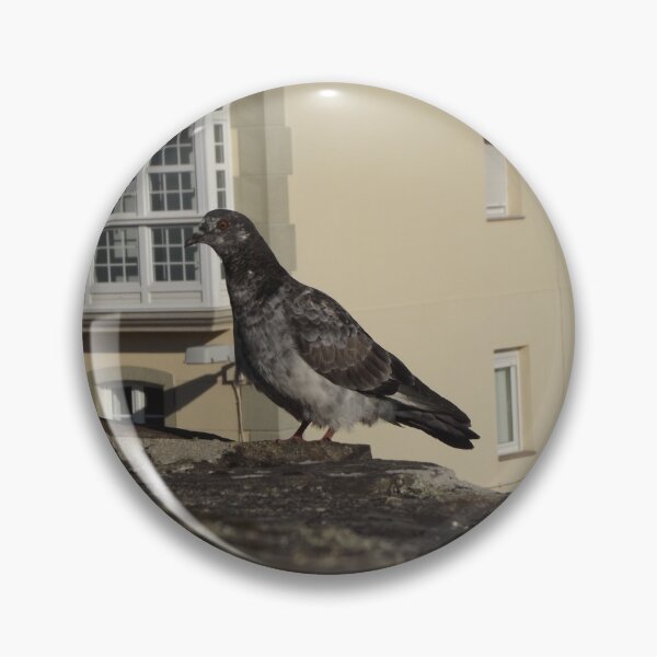 Item preview, Spanish pigeon designed and sold by greentiger1.