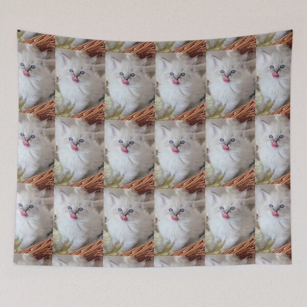 Item preview, Ragdoll kitten  designed and sold by Fluffycat2020.