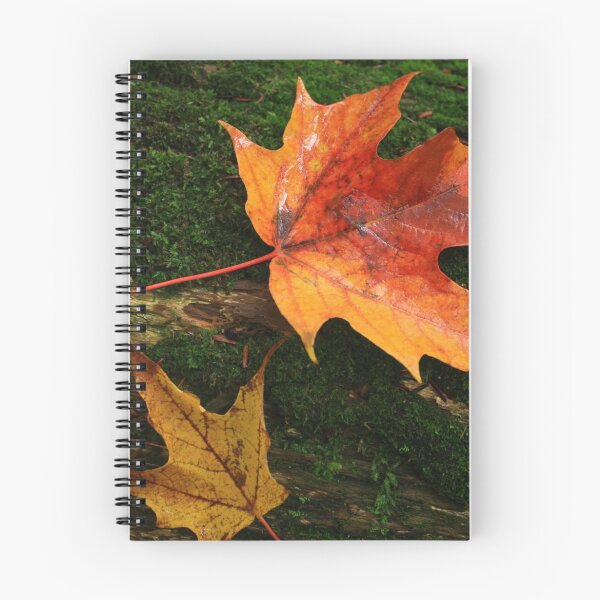 Item preview, The Colors of Autumn designed and sold by rwhitney22.