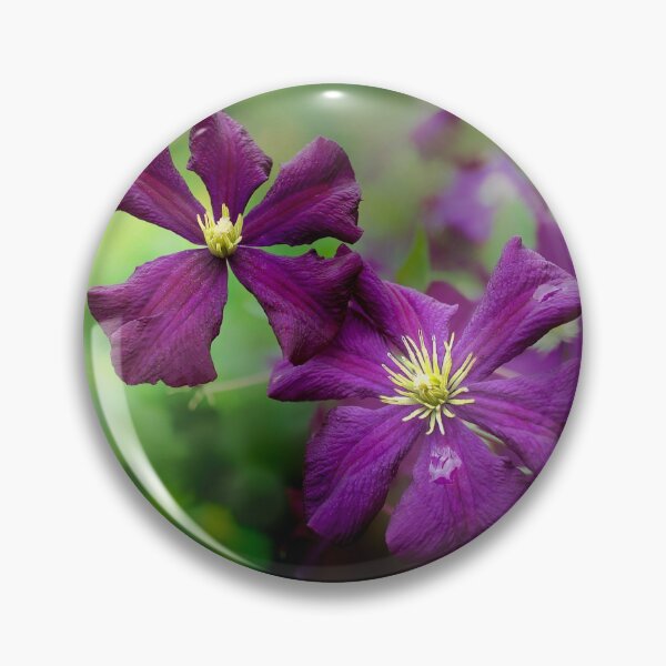 Item preview, Late Summer Clematis designed and sold by Alisonchambers2.
