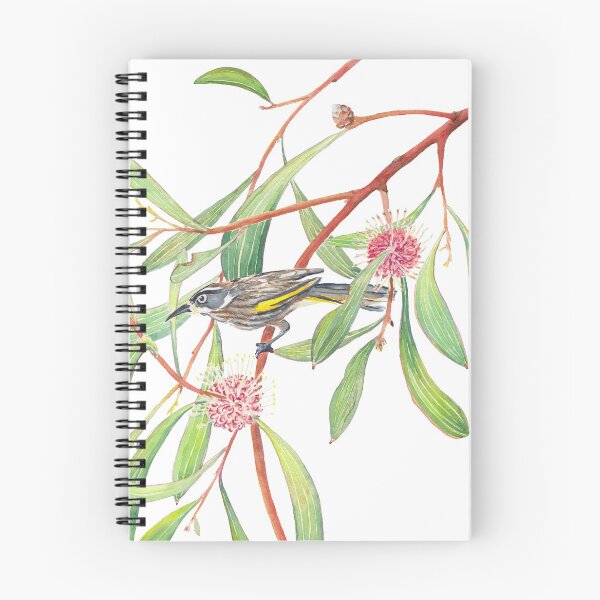 Item preview, New Holland Honeyeater and Hakea Laurina watercolour designed and sold by Zoya Makarova.