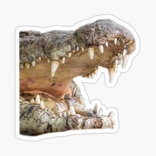 Die scharfen Zähne des Krokodils Sticker