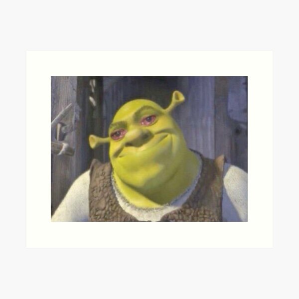 Shrek Forever After, Ogre, shrek, Dance Party, Gfycat, Giphy, Donkey,  Internet meme, Dance, grass