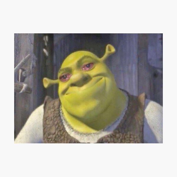 Shrek 1 - Shrek Surprised | Photographic Print