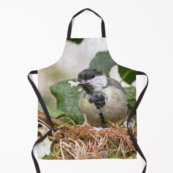 Item preview, r1465/ New Finition -  2021 -  mésange  b 16 (c)(t)   Olavia-Olao  Okaio Créations designed and sold by o.okaïo.