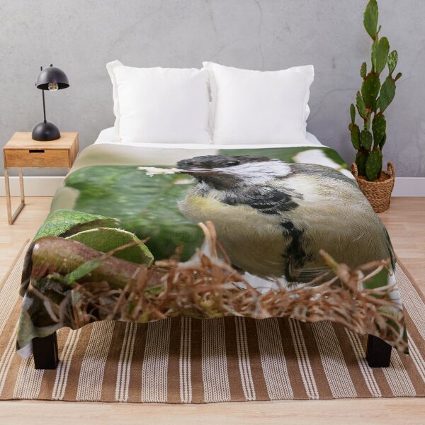 Item preview, r1465/ New Finition -  2021 -  mésange  b 16 (c)(t)   Olavia-Olao  Okaio Créations designed and sold by o.okaïo.