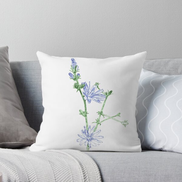 Item preview, Chicory designed and sold by WildDot.