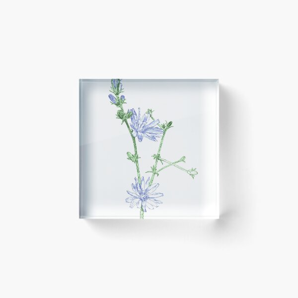 Item preview, Chicory designed and sold by WildDot.