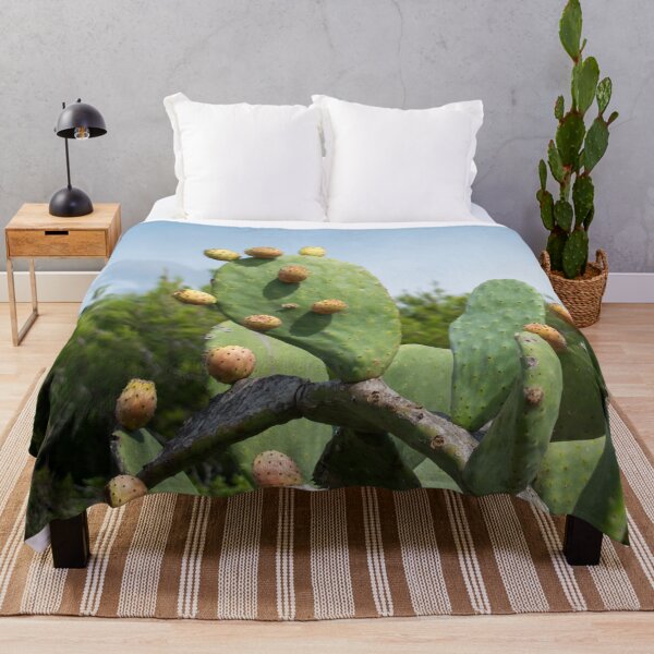 Item preview, big green cactus in Ibiza designed and sold by moonaliara.