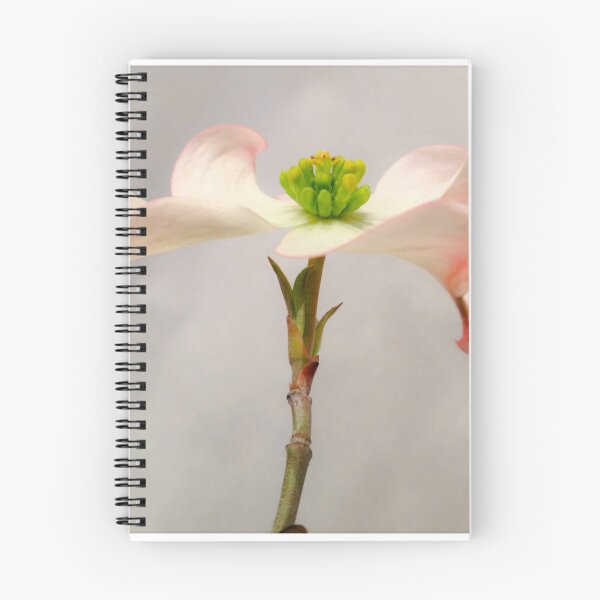 Item preview, Dogwood Profile designed and sold by Barbara E Wyeth.