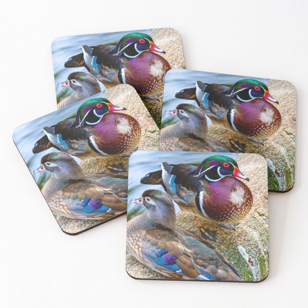 Item preview, Carolina Wood duck pair designed and sold by Dalyndigital Photography.