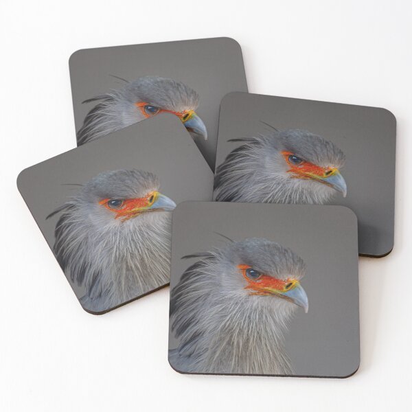 Item preview, Portrait of a Secretary bird designed and sold by Dalyndigital Photography.