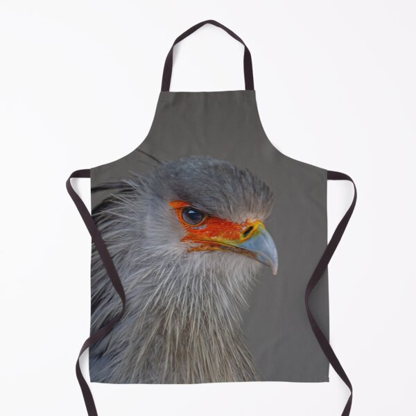 Item preview, Portrait of a Secretary bird designed and sold by Dalyndigital Photography.