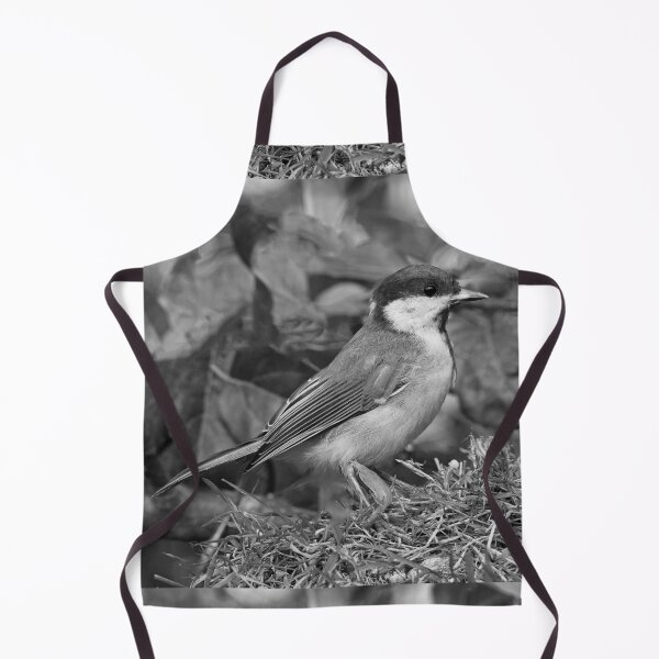 Item preview, r1464/ New Finition - 2021 - mésange b 15 (c)(t) Olavia-Olao Okaio Créations designed and sold by o.okaïo.