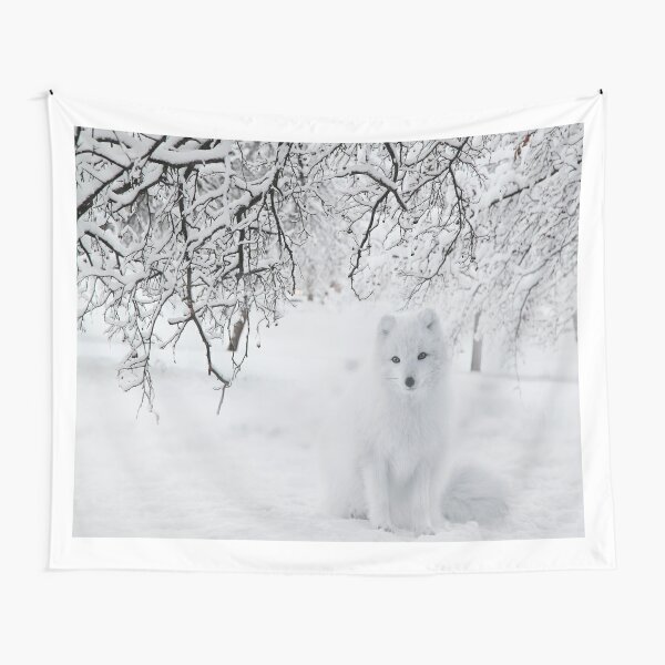 Tentures Sur Le Theme Renard Polaire Redbubble