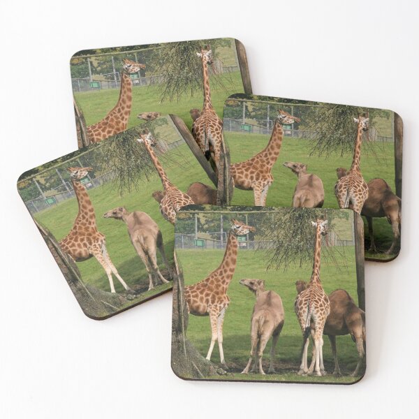 Item preview, Giraffe And Camel Safari designed and sold by Fearless-Fox.