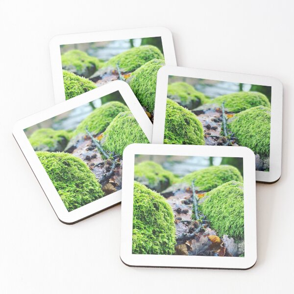 Item preview, En el bosque designed and sold by dogonly.