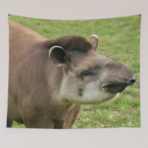 Artikelvorschau, Glücklicher Tapir entworfen und verkauft von Fearless-Fox.