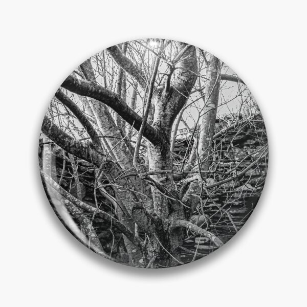 Item preview, Life After Abandonment  designed and sold by StephenPower.