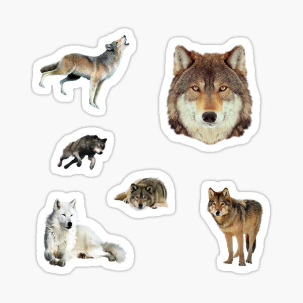 Wolf Sticker Pack Sticker