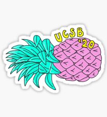 UCSB class of 2020 Sticker