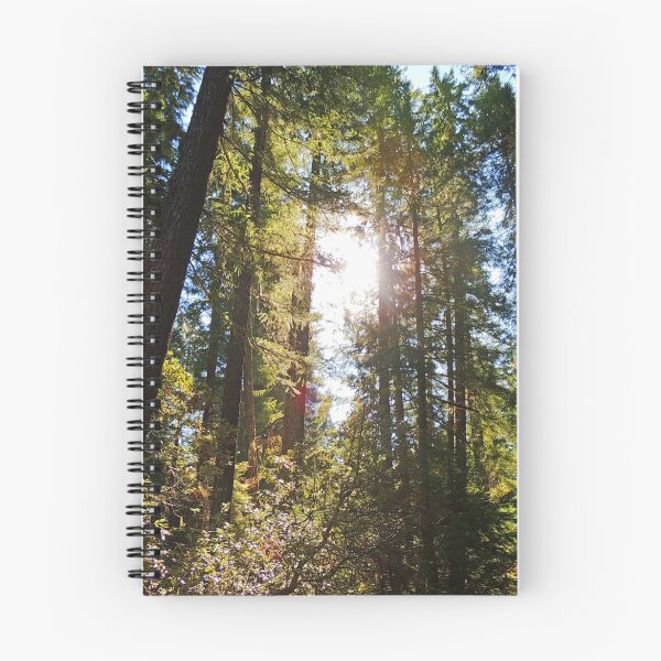 Item preview, McKenzie River Sun designed and sold by azurereflection.