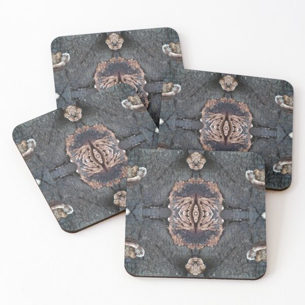 Item preview, Compass-Colors of Africa collection designed and sold by CSouissi.