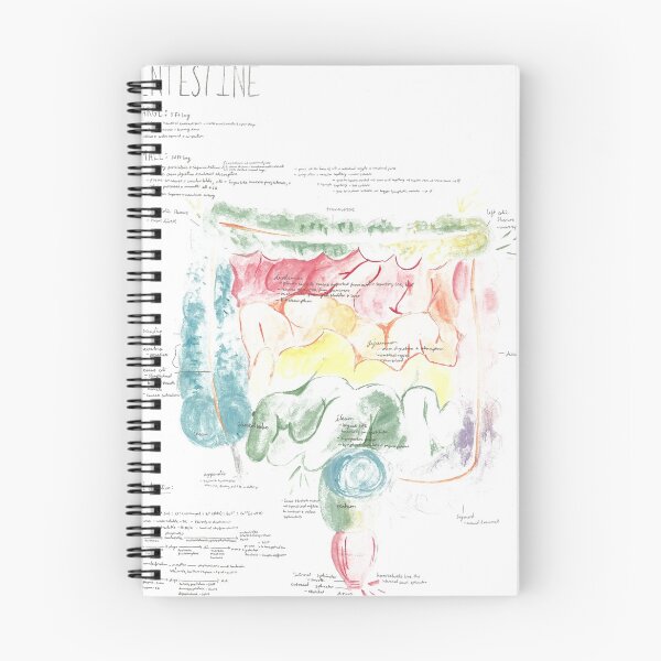 Item preview, Watercolor A&P of the Large and Small Intestine designed and sold by dr-duncan.
