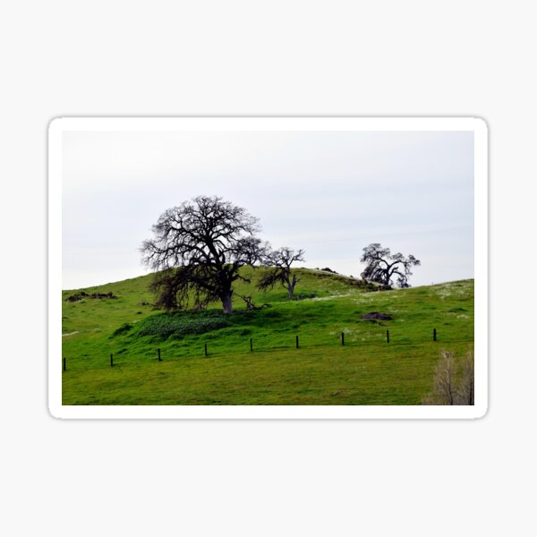 Item preview, Lush Green Hillside designed and sold by Chris Gudger.
