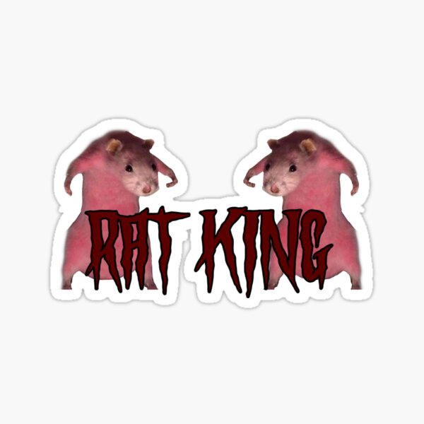 48 Cursed rats ideas  rats, cute rats, rat king