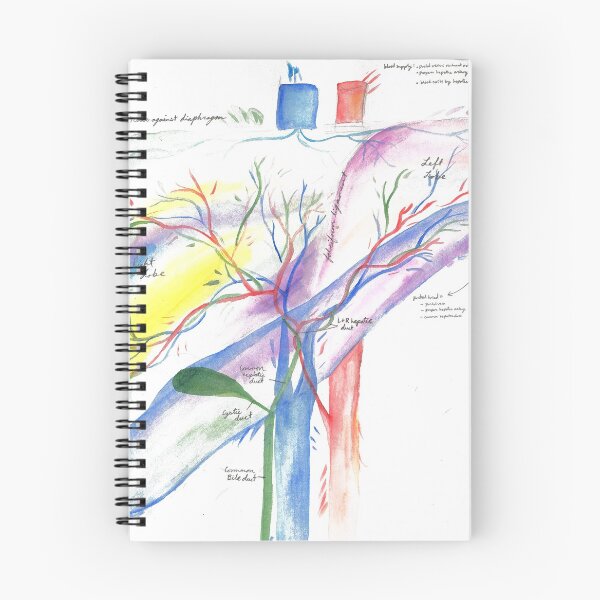 Item preview, Watercolor A&P of the Liver and Gallbladder designed and sold by dr-duncan.