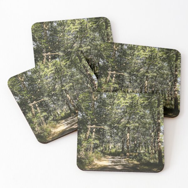 Item preview, Walking through a woodland cathedral designed and sold by Joel Bader.