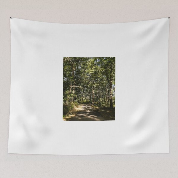 Item preview, Walking through a woodland cathedral designed and sold by Joel Bader.