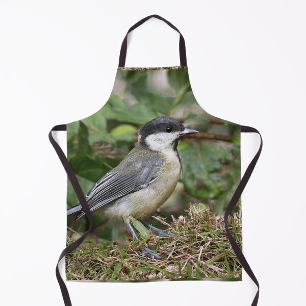 Item preview, r1463/ New Finition - 2021 - mésange b 14 (c)(t) Olavia-Olao Okaio Créations designed and sold by o.okaïo.