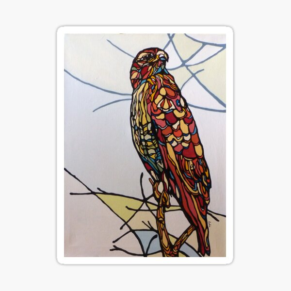 Hawk of Many Colours Sticker